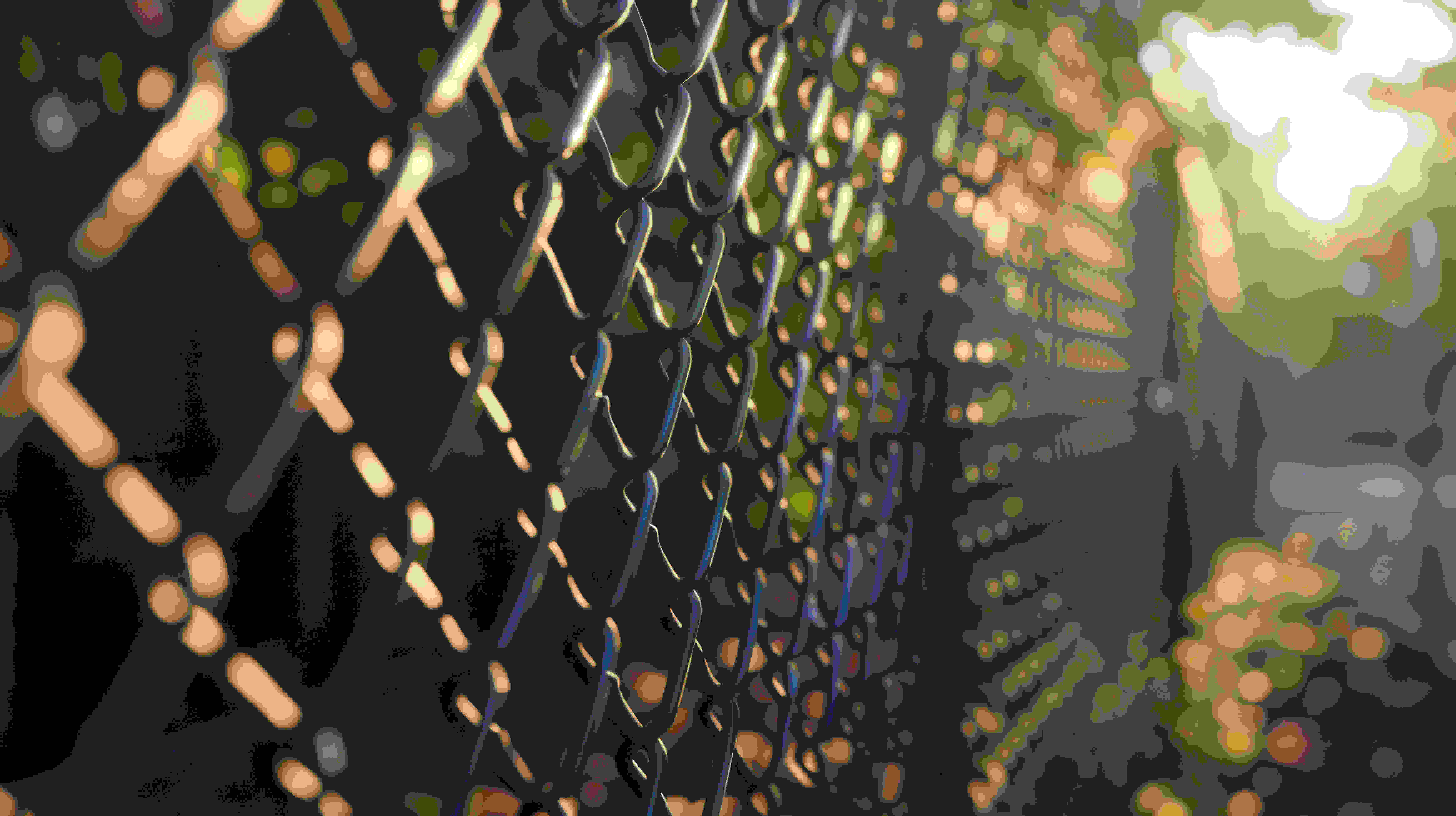 Chain Link Fencing